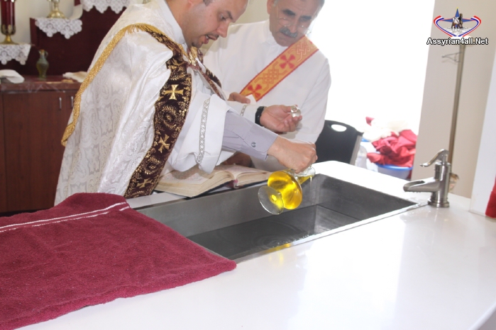 IMG_6764.jpg