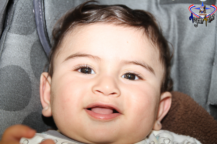 seta_2825629.jpg