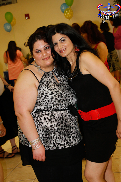 seta_283329.jpg