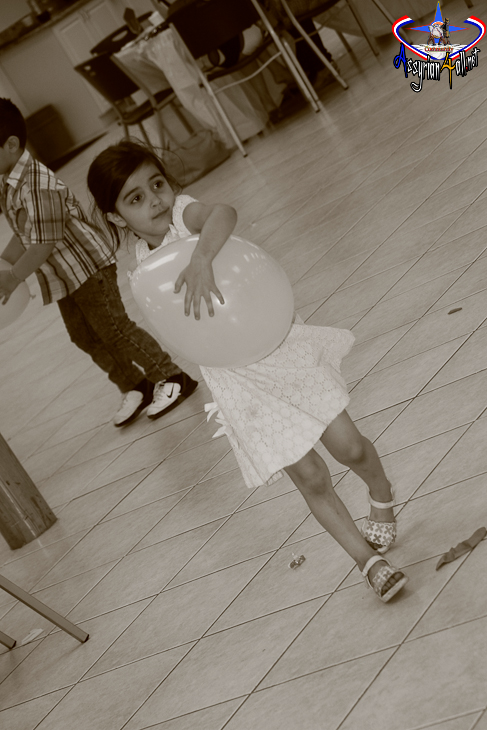 seta_285229.jpg