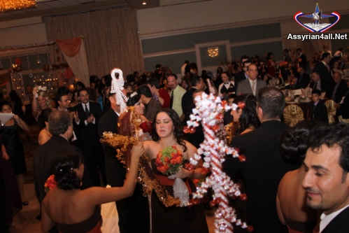 IMG_2046.jpg