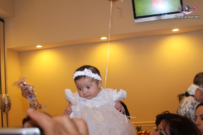 IMG_8142.jpg