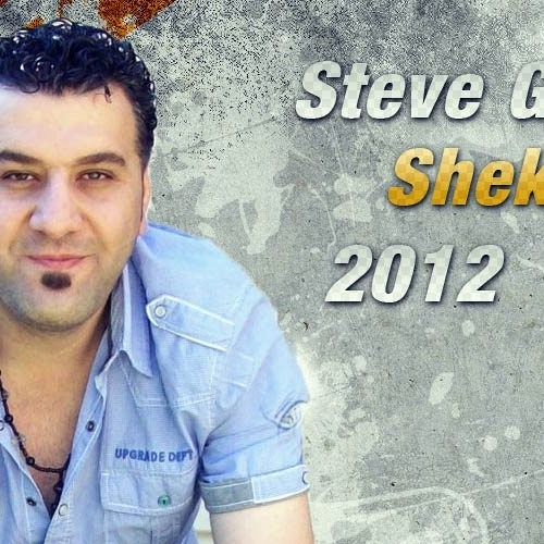 Steve Goga